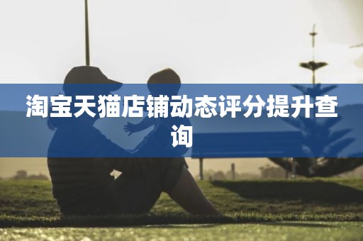 淘宝天猫店铺动态评分提升查询