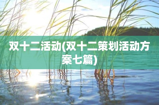 双十二活动(双十二策划活动方案七篇)