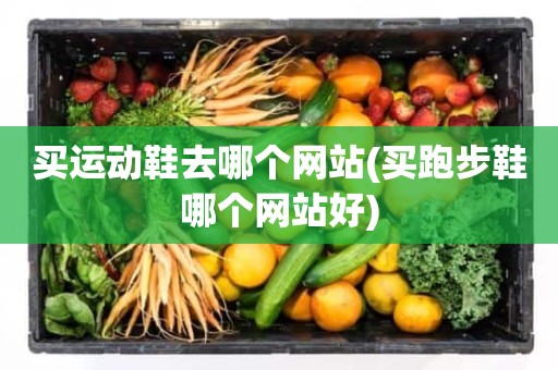 买运动鞋去哪个网站(买跑步鞋哪个网站好)