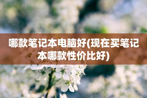 哪款笔记本电脑好(现在买笔记本哪款性价比好)