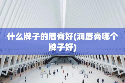 什么牌子的唇膏好(润唇膏哪个牌子好)