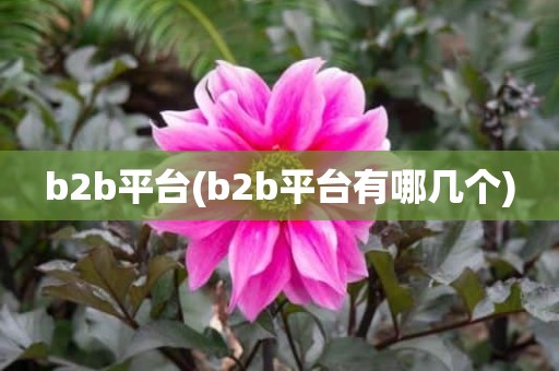 b2b平台(b2b平台有哪几个)