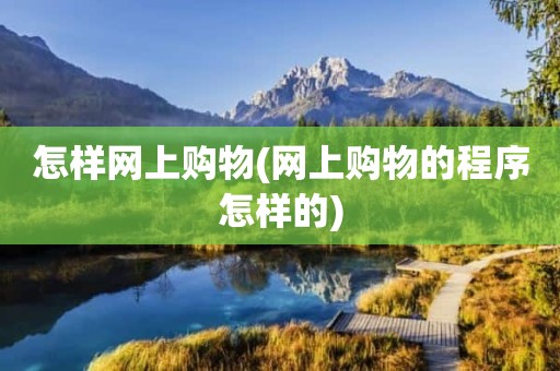 怎样网上购物(网上购物的程序怎样的)