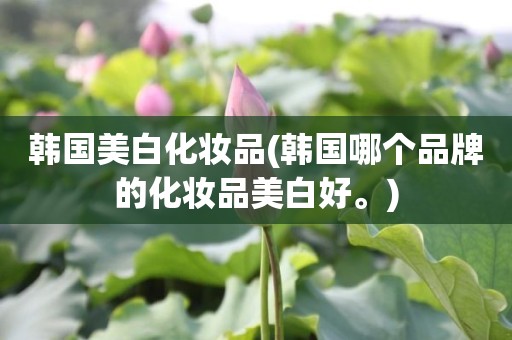 韩国美白化妆品(韩国哪个品牌的化妆品美白好。)