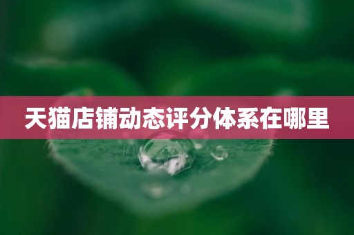 天猫店铺动态评分体系在哪里