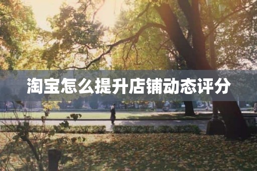淘宝怎么提升店铺动态评分