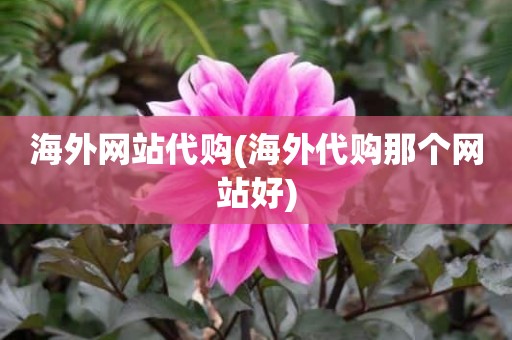 海外网站代购(海外代购那个网站好)