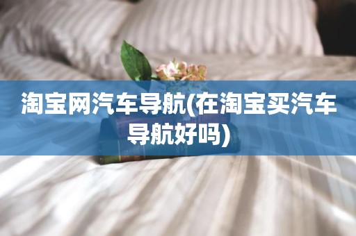 淘宝网汽车导航(在淘宝买汽车导航好吗)