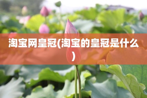 淘宝网皇冠(淘宝的皇冠是什么)