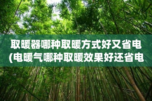 取暖器哪种取暖方式好又省电(电暖气哪种取暖效果好还省电)