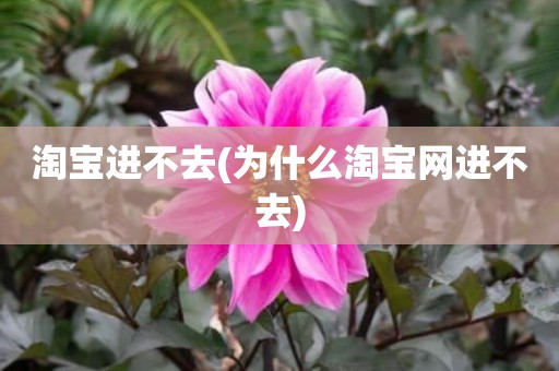淘宝进不去(为什么淘宝网进不去)