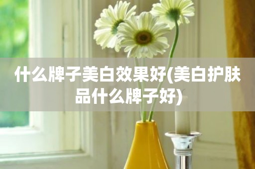 什么牌子美白效果好(美白护肤品什么牌子好)