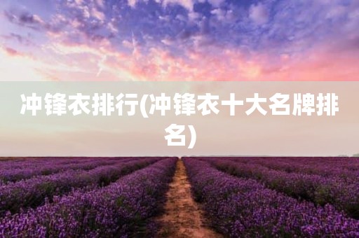 冲锋衣排行(冲锋衣十大名牌排名)