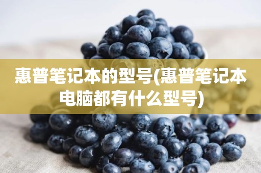 惠普笔记本的型号(惠普笔记本电脑都有什么型号)