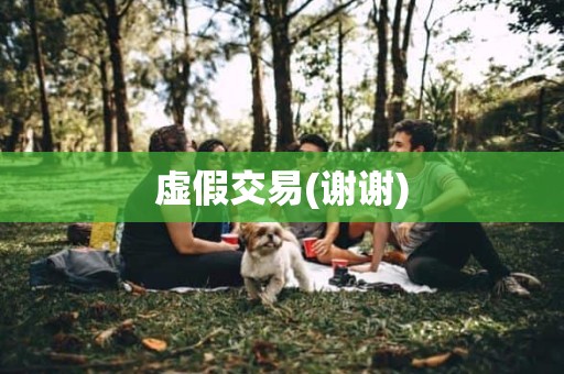 虚假交易(谢谢)