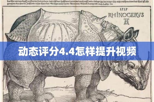 动态评分4.4怎样提升视频