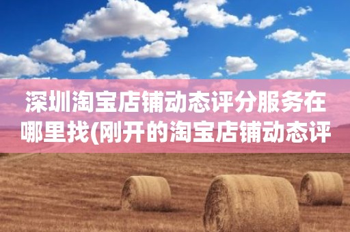 深圳淘宝店铺动态评分服务在哪里找(刚开的淘宝店铺动态评分什么时候开始显示)
