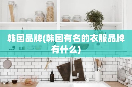 韩国品牌(韩国有名的衣服品牌有什么)
