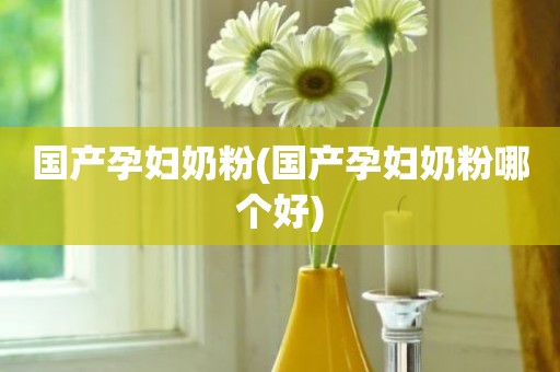 国产孕妇奶粉(国产孕妇奶粉哪个好)