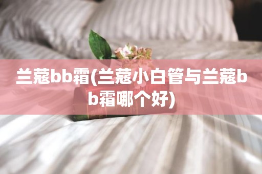 兰蔻bb霜(兰蔻小白管与兰蔻bb霜哪个好)