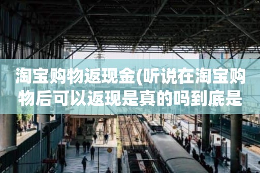 淘宝购物返现金(听说在淘宝购物后可以返现是真的吗到底是怎么回事)