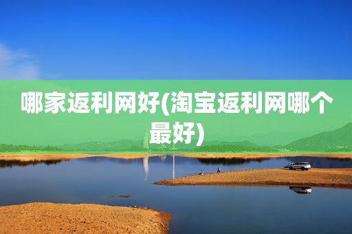 哪家返利网好(淘宝返利网哪个最好)
