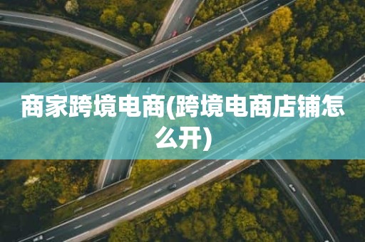 商家跨境电商(跨境电商店铺怎么开)