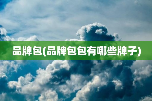 品牌包(品牌包包有哪些牌子)
