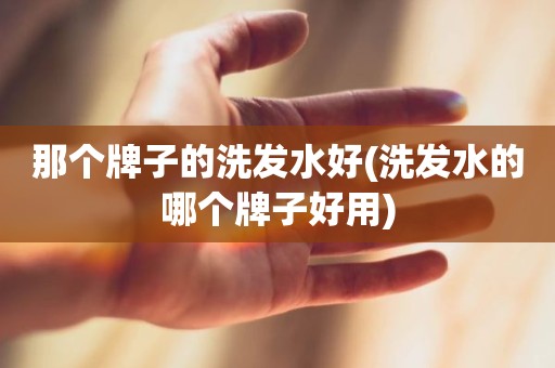 那个牌子的洗发水好(洗发水的哪个牌子好用)