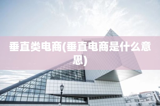 垂直类电商(垂直电商是什么意思)