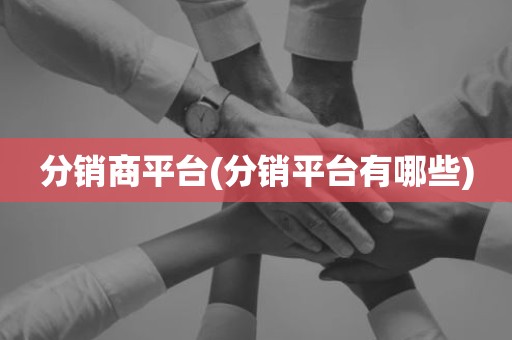 分销商平台(分销平台有哪些)