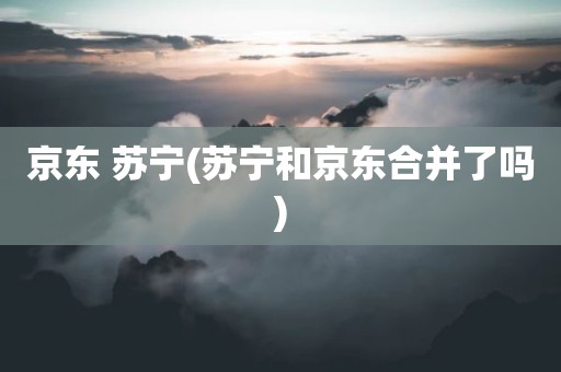 京东 苏宁(苏宁和京东合并了吗)