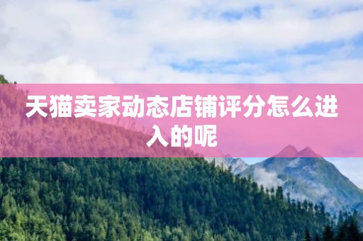 天猫卖家动态店铺评分怎么进入的呢