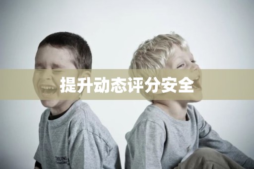 提升动态评分安全
