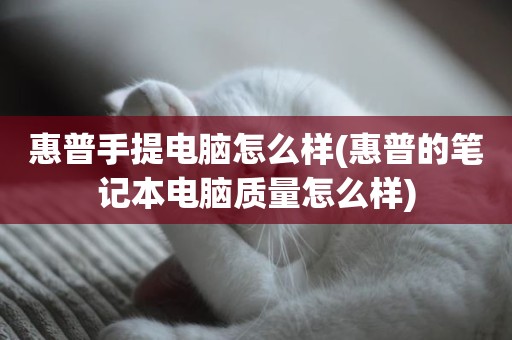 惠普手提电脑怎么样(惠普的笔记本电脑质量怎么样)