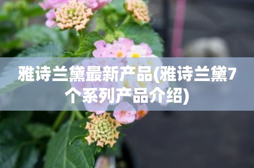 雅诗兰黛最新产品(雅诗兰黛7个系列产品介绍)