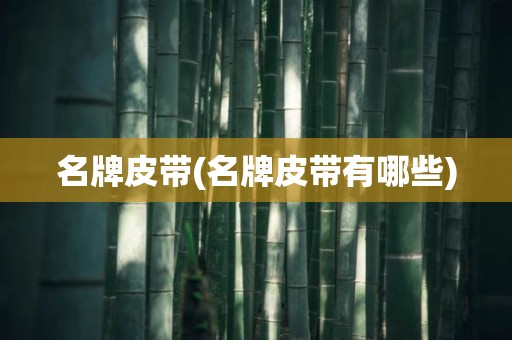 名牌皮带(名牌皮带有哪些)