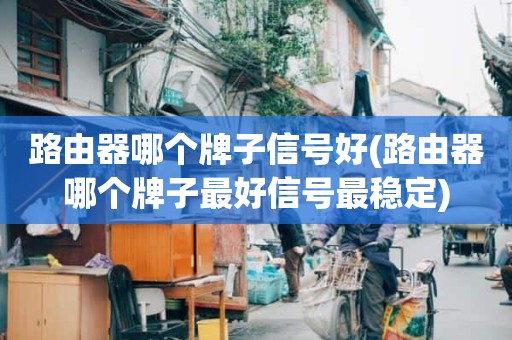 路由器哪个牌子信号好(路由器哪个牌子最好信号最稳定)