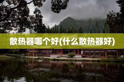 散热器哪个好(什么散热器好)