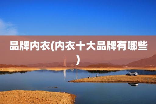 品牌内衣(内衣十大品牌有哪些)