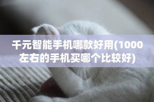 千元智能手机哪款好用(1000左右的手机买哪个比较好)