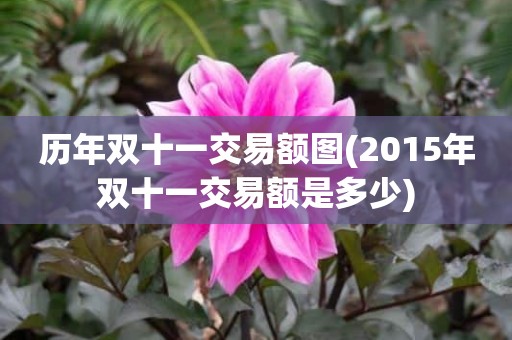 历年双十一交易额图(2015年双十一交易额是多少)