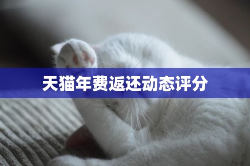天猫年费返还动态评分