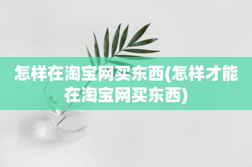 怎样在淘宝网买东西(怎样才能在淘宝网买东西)