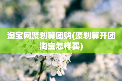 淘宝网聚划算团购(聚划算开团淘宝怎样买)