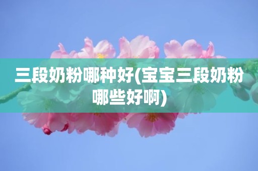 三段奶粉哪种好(宝宝三段奶粉哪些好啊)