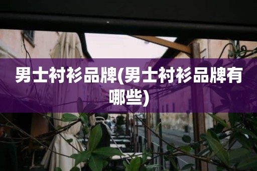 男士衬衫品牌(男士衬衫品牌有哪些)