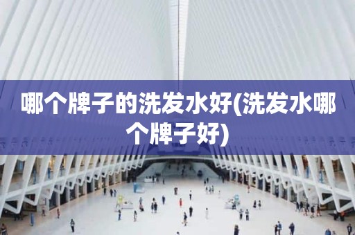 哪个牌子的洗发水好(洗发水哪个牌子好)