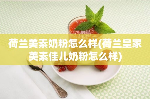 荷兰美素奶粉怎么样(荷兰皇家美素佳儿奶粉怎么样)