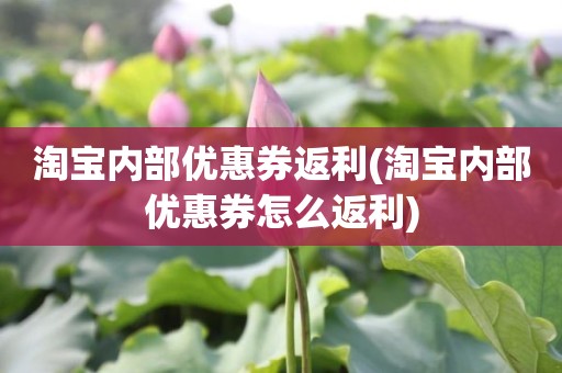 淘宝内部优惠券返利(淘宝内部优惠券怎么返利)